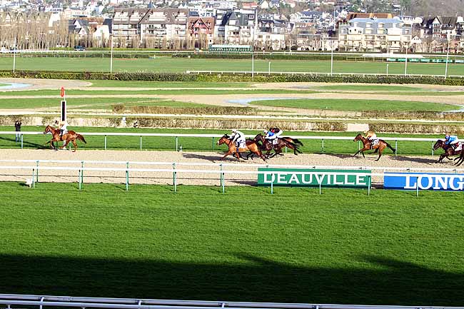 Photo d'arrivée de la course pmu PRIX D'EPREVILLE à DEAUVILLE le Lundi 4 janvier 2016