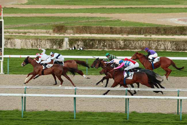Photo d'arrivée de la course pmu PRIX DE BEAUFOSSE à DEAUVILLE le Vendredi 8 janvier 2016