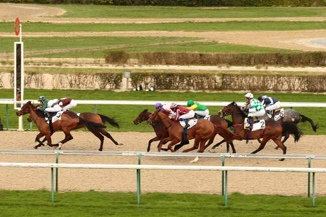 Photo d'arrivée de la course pmu PRIX DU BOIS CARROUGES à DEAUVILLE le Vendredi 8 janvier 2016