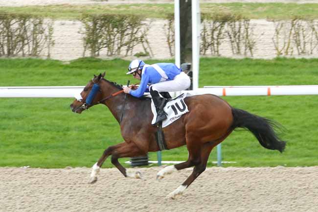 Photo d'arrivée de la course pmu PRIX DE LA VALLEE DE SEINE à DEAUVILLE le Vendredi 8 janvier 2016