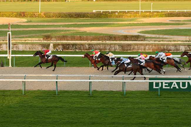 Photo d'arrivée de la course pmu PRIX DE LA SEINE MARITIME à DEAUVILLE le Vendredi 8 janvier 2016