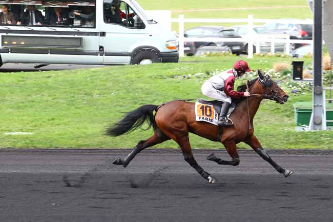 Photo d'arrivée de la course pmu PRIX DE BOLLENE à PARIS-VINCENNES le Vendredi 15 janvier 2016