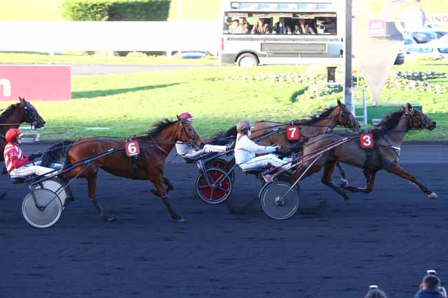 Photo d'arrivée de la course pmu PRIX DE VIC-BIGORRE à PARIS-VINCENNES le Vendredi 15 janvier 2016