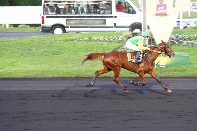 Photo d'arrivée de la course pmu PRIX DE BOULAY à PARIS-VINCENNES le Vendredi 15 janvier 2016