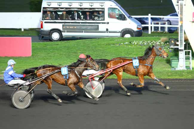 Photo d'arrivée de la course pmu PRIX DE COLMAR à PARIS-VINCENNES le Vendredi 15 janvier 2016