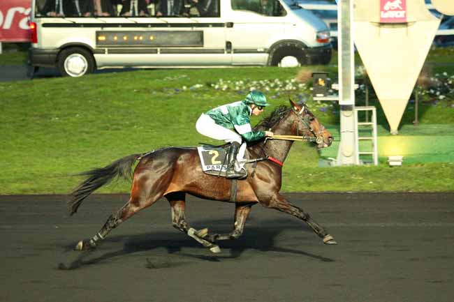 Photo d'arrivée de la course pmu PRIX DJERID à PARIS-VINCENNES le Dimanche 17 janvier 2016