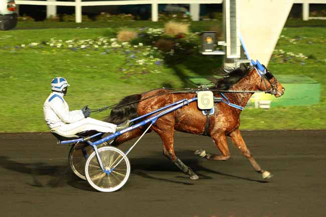 Photo d'arrivée de la course pmu PRIX DE MACHECOUL à PARIS-VINCENNES le Dimanche 17 janvier 2016