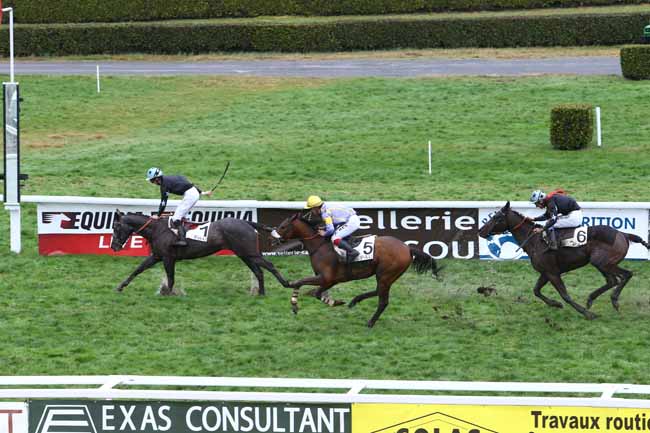Photo d'arrivée de la course pmu PRIX DE GABAS à PAU le Mardi 19 janvier 2016