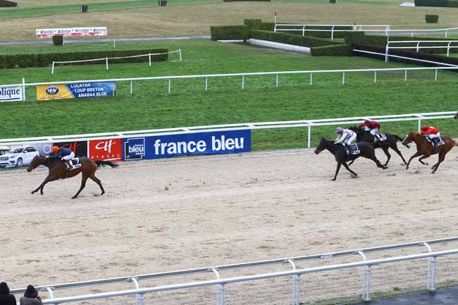 Photo d'arrivée de la course pmu PRIX D'ARAUJUZON à PAU le Mardi 19 janvier 2016
