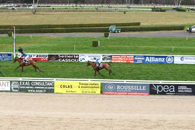 Photo d'arrivée de la course pmu PRIX AUGUSTE DE CASTELBAJAC à PAU le Mardi 19 janvier 2016