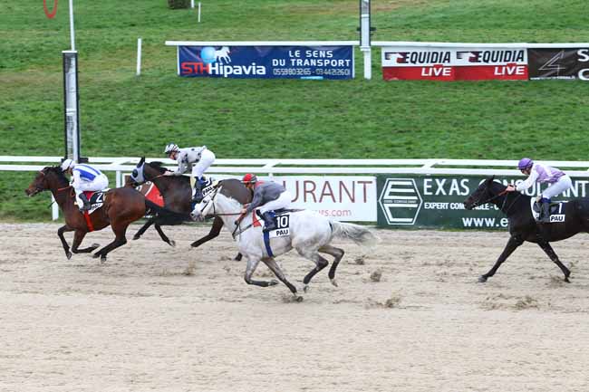 Photo d'arrivée de la course pmu PRIX DE MONTAUT à PAU le Mardi 19 janvier 2016