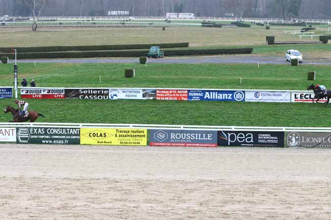 Photo d'arrivée de la course pmu PRIX DE GRAMONT à PAU le Mardi 19 janvier 2016
