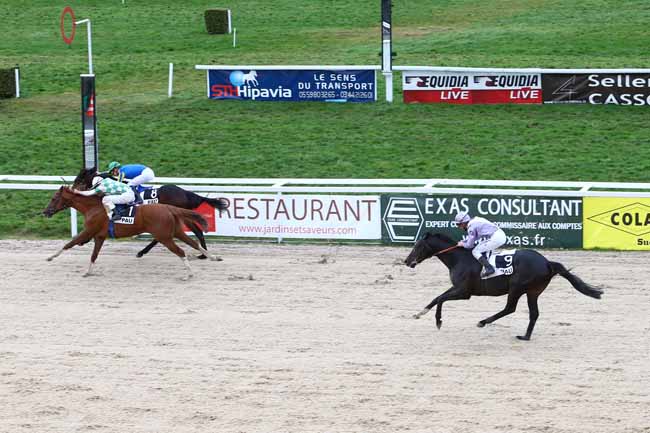 Photo d'arrivée de la course pmu PRIX D'UZEIN à PAU le Mardi 19 janvier 2016