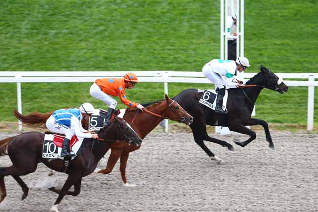 Photo d'arrivée de la course pmu PRIX DE VICHY à CAGNES-SUR-MER le Mercredi 20 janvier 2016