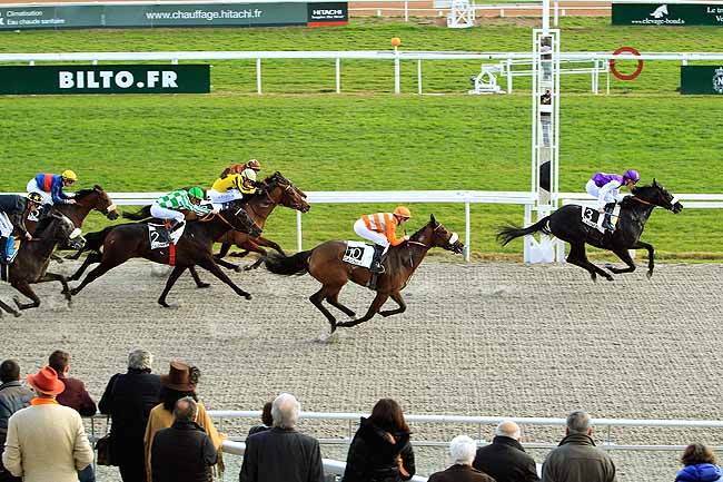 Photo d'arrivée de la course pmu PRIX JOSEPH COLLIGNON à CAGNES-SUR-MER le Mardi 26 janvier 2016