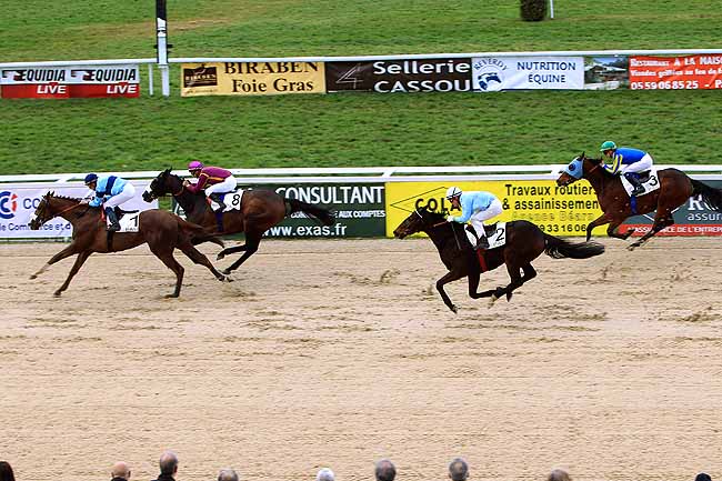Photo d'arrivée de la course pmu PRIX DE RONTIGNON à PAU le Vendredi 29 janvier 2016