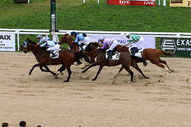 Photo d'arrivée de la course pmu PRIX DE SEVIGNACQ à PAU le Vendredi 29 janvier 2016