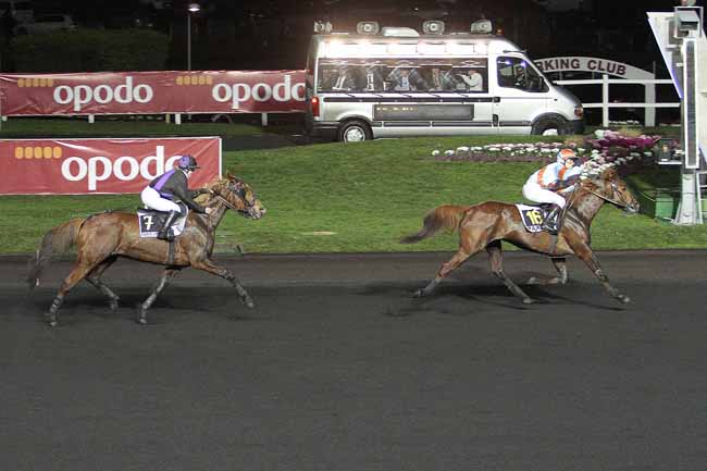 Photo d'arrivée de la course pmu PRIX TIDALIUM PELO à PARIS-VINCENNES le Dimanche 31 janvier 2016