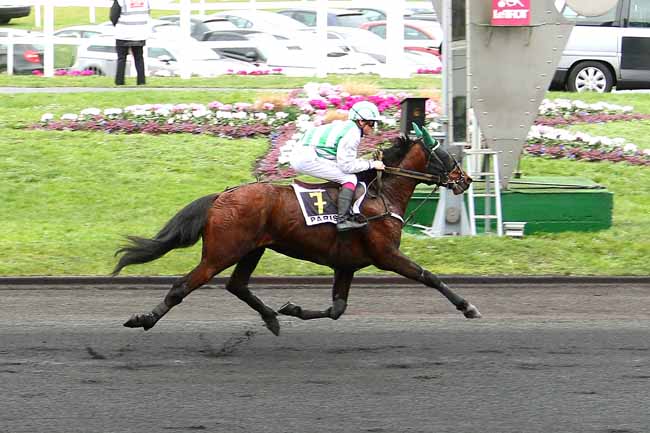 Photo d'arrivée de la course pmu PRIX CAMILLE BLAISOT à PARIS-VINCENNES le Dimanche 31 janvier 2016