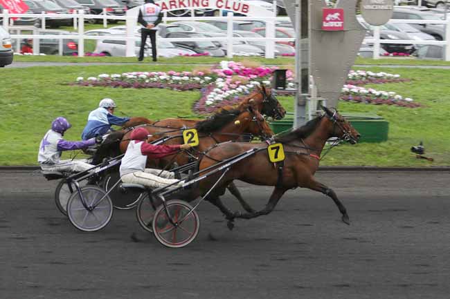 Photo d'arrivée de la course pmu PRIX CHARLES TIERCELIN à PARIS-VINCENNES le Dimanche 31 janvier 2016