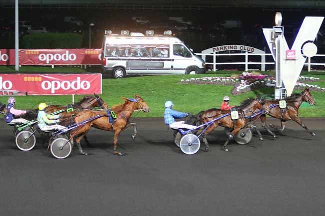 Photo d'arrivée de la course pmu PRIX LEOPOLD VERROKEN à PARIS-VINCENNES le Dimanche 31 janvier 2016