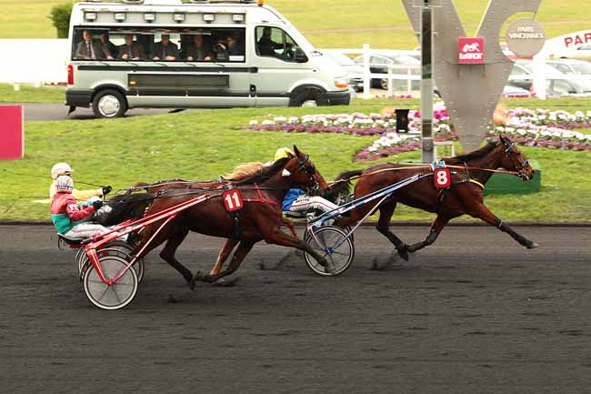 Photo d'arrivée de la course pmu PRIX DE LAVAL à PARIS-VINCENNES le Mardi 2 février 2016