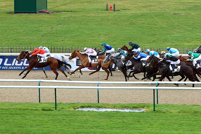 Photo d'arrivée de la course pmu PRIX DE L'ALLEE DE LA PETITE HAIE à CHANTILLY le Jeudi 4 février 2016