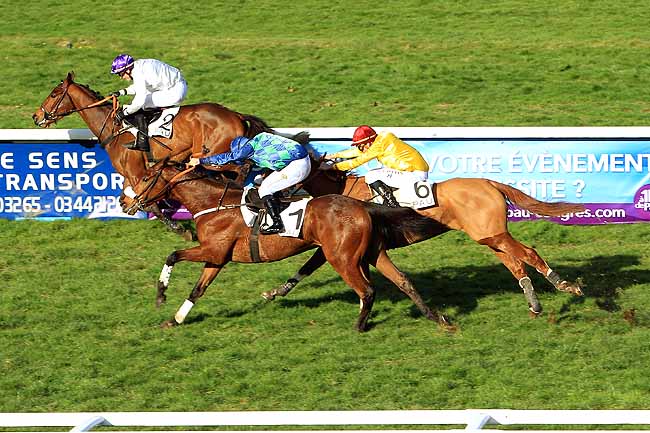 Photo d'arrivée de la course pmu PRIX CAMILLE DUBOSCQ à PAU le Vendredi 5 février 2016