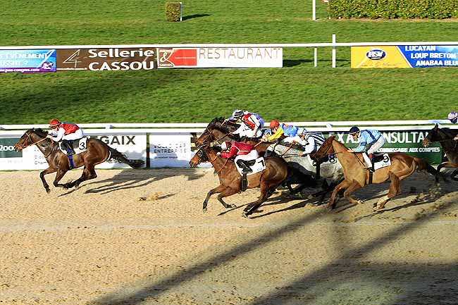 Photo d'arrivée de la course pmu PRIX DE LA SOCIETE DES COURSES DE MONT-DE-MARSAN à PAU le Vendredi 5 février 2016