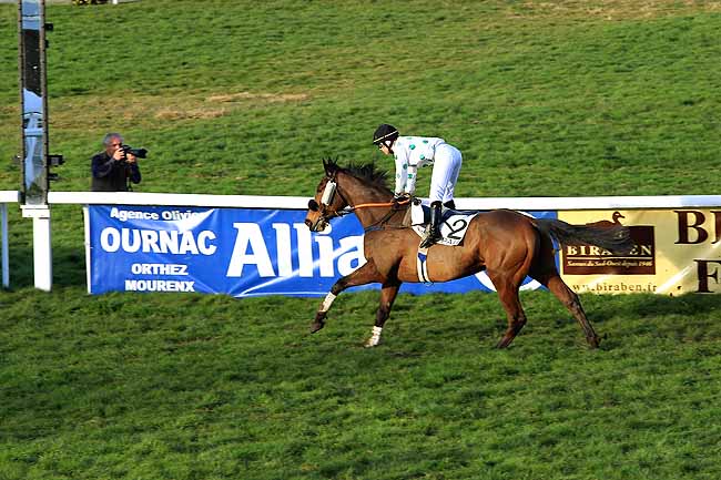 Photo d'arrivée de la course pmu PRIX DE LA CROIX DU PRINCE à PAU le Vendredi 5 février 2016