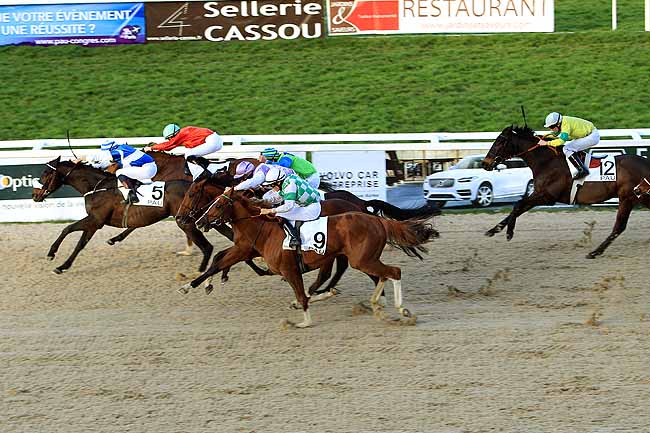 Photo d'arrivée de la course pmu PRIX DE LA SOCIETE DES COURSES DE DAX à PAU le Vendredi 5 février 2016