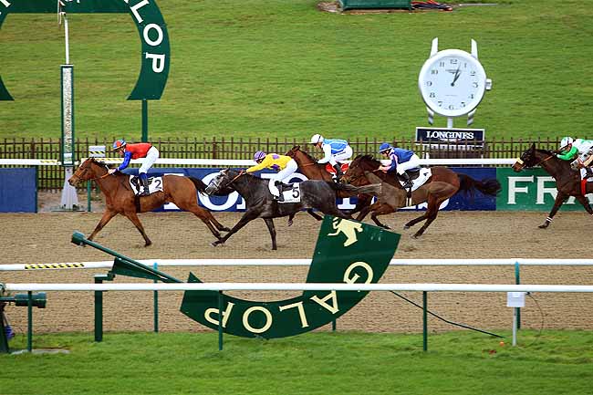 Photo d'arrivée de la course pmu PRIX DE LASSY à CHANTILLY le Mardi 9 février 2016