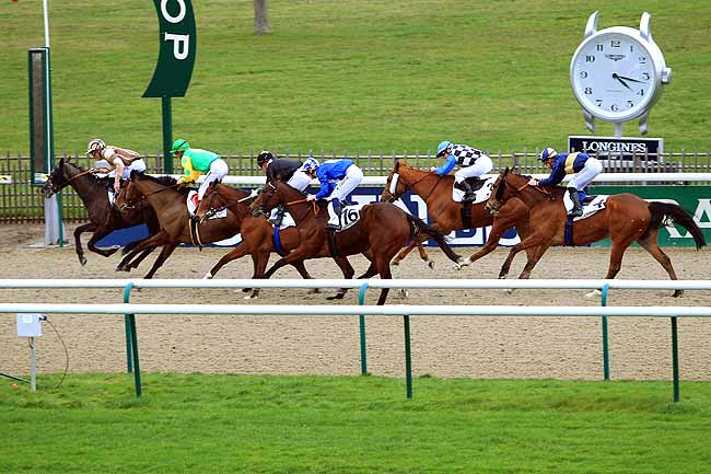 Photo d'arrivée de la course pmu PRIX DE LA ROUTE DES FERMETTES à CHANTILLY le Mardi 9 février 2016