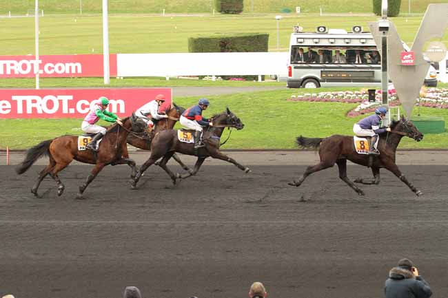 Photo d'arrivée de la course pmu PRIX DE ROZAY-EN-BRIE à PARIS-VINCENNES le Mercredi 10 février 2016