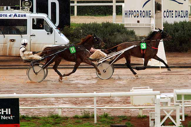 Photo d'arrivée de la course pmu PRIX DE PEZENAS à CAGNES-SUR-MER le Vendredi 12 février 2016