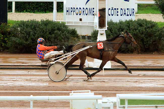 Photo d'arrivée de la course pmu PRIX D'OLARGUES à CAGNES-SUR-MER le Vendredi 12 février 2016