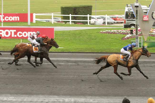 Photo d'arrivée de la course pmu PRIX DE RAMBOUILLET à PARIS-VINCENNES le Samedi 13 février 2016