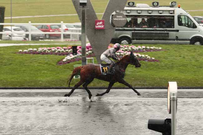 Photo d'arrivée de la course pmu PRIX DE LISIEUX à PARIS-VINCENNES le Samedi 13 février 2016