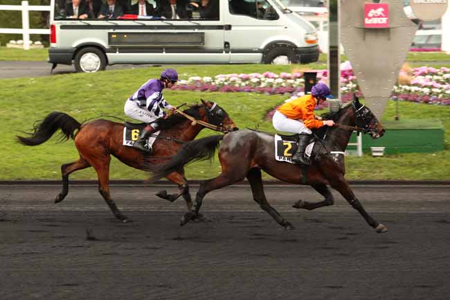 Photo d'arrivée de la course pmu PRIX DE LUNEVILLE à PARIS-VINCENNES le Dimanche 14 février 2016