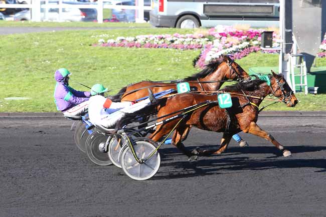 Photo d'arrivée de la course pmu PRIX DE BERCY (GR A) à PARIS-VINCENNES le Mardi 16 février 2016