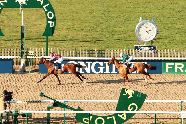 Photo d'arrivée de la course pmu PRIX DELMONTE à CHANTILLY le Vendredi 19 février 2016
