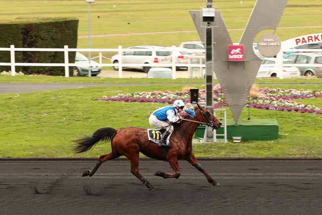 Photo d'arrivée de la course pmu PRIX PATRICK MOTTIER à PARIS-VINCENNES le Lundi 22 février 2016