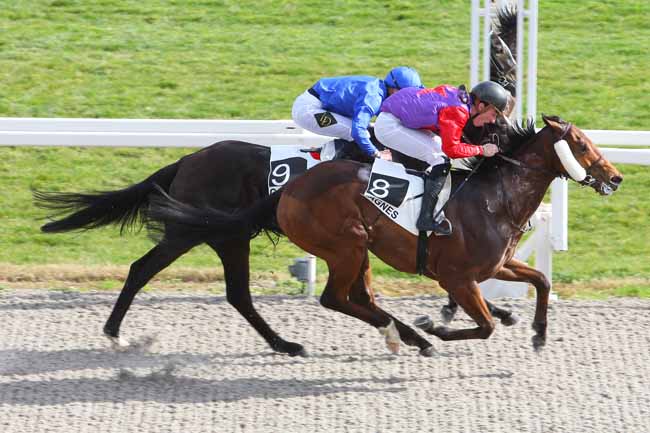 Photo d'arrivée de la course pmu PRIX DE PORQUEROLLES à CAGNES-SUR-MER le Mercredi 24 février 2016
