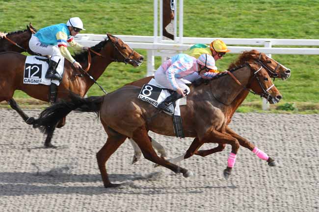 Photo d'arrivée de la course pmu PRIX DE SAINT-RAPHAEL à CAGNES-SUR-MER le Mercredi 24 février 2016