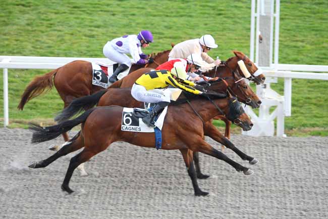 Photo d'arrivée de la course pmu PRIX DE MIRAMAR à CAGNES-SUR-MER le Mercredi 24 février 2016