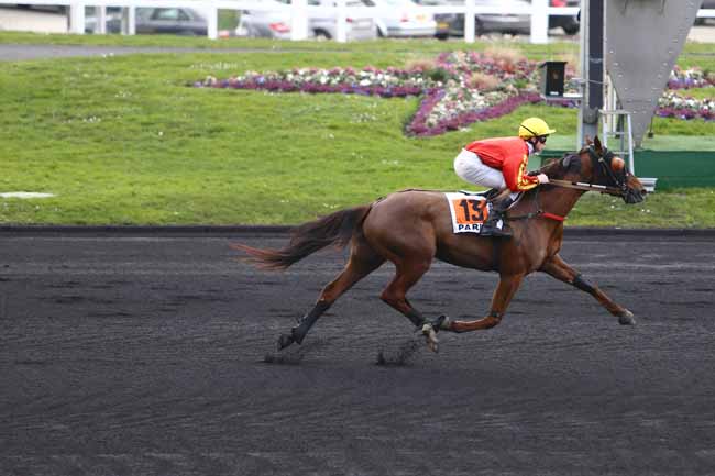 Photo d'arrivée de la course pmu PRIX DES ANDELYS à PARIS-VINCENNES le Jeudi 25 février 2016