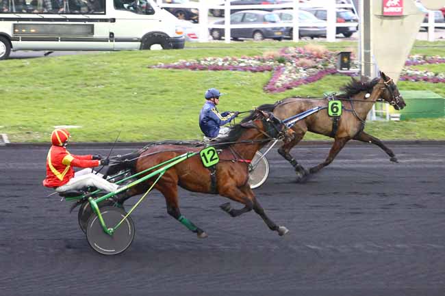 Photo d'arrivée de la course pmu PRIX DE PONT-L'EVEQUE à PARIS-VINCENNES le Jeudi 25 février 2016