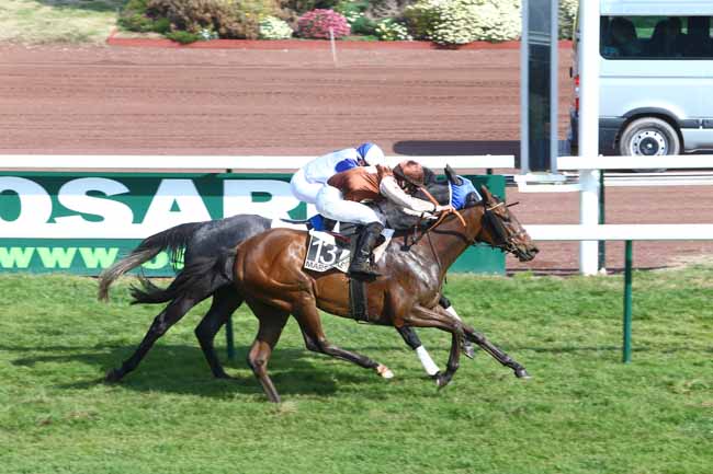 Photo d'arrivée de la course pmu PRIX LOUIS BRUNET à MARSEILLE-BORELY le Lundi 29 février 2016