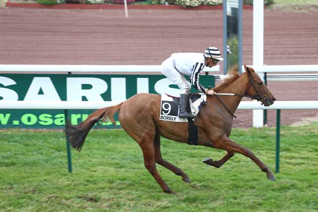 Photo d'arrivée de la course pmu PRIX DE LYON LA SOIE à MARSEILLE-BORELY le Lundi 29 février 2016