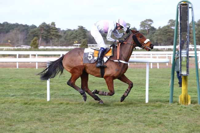 Photo d'arrivée de la course pmu PRIX COLONEL BERNARD MARLIN à FONTAINEBLEAU le Mercredi 2 mars 2016